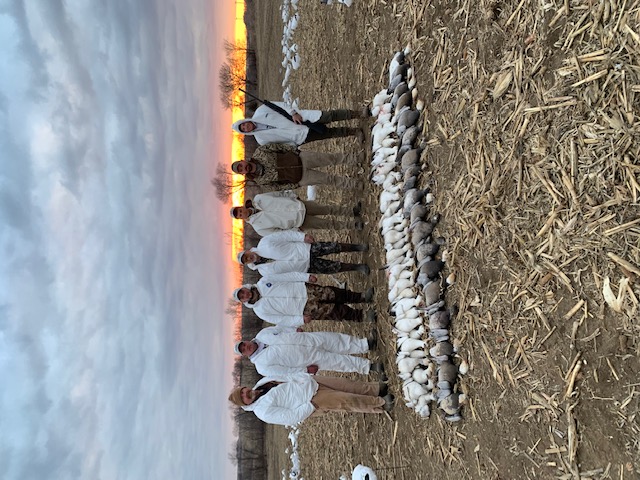 Spring Snow Goose Hunts Whiteout Outfitters 65