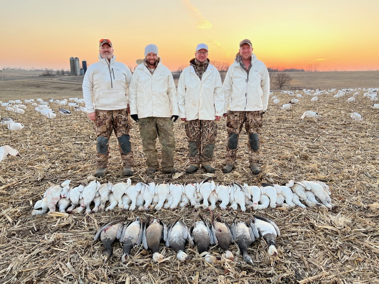 Spring Snow Goose Hunts Whiteout Outfitters 8