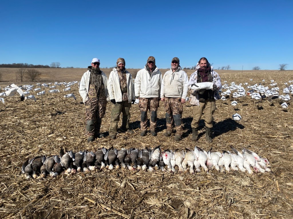 Spring Snow Goose Hunts Whiteout Outfitters 7