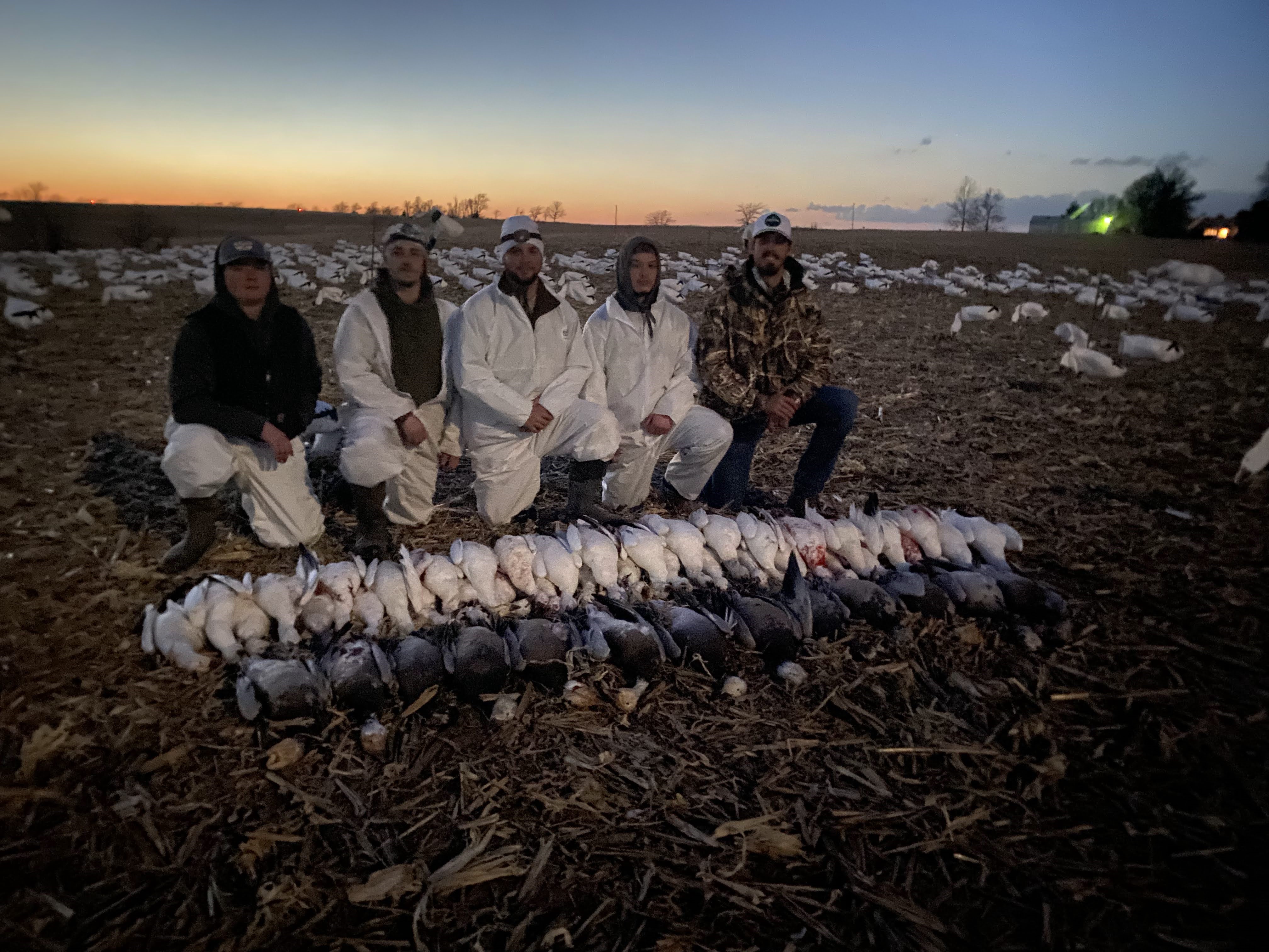 Spring Snow Goose Hunts Whiteout Outfitters 49