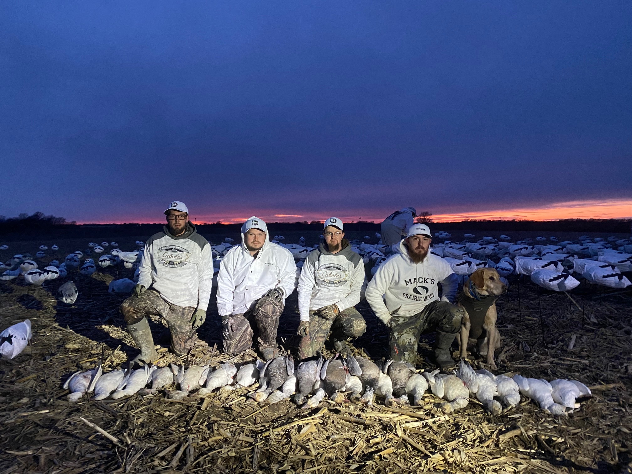 Spring Snow Goose Hunts Whiteout Outfitters 95