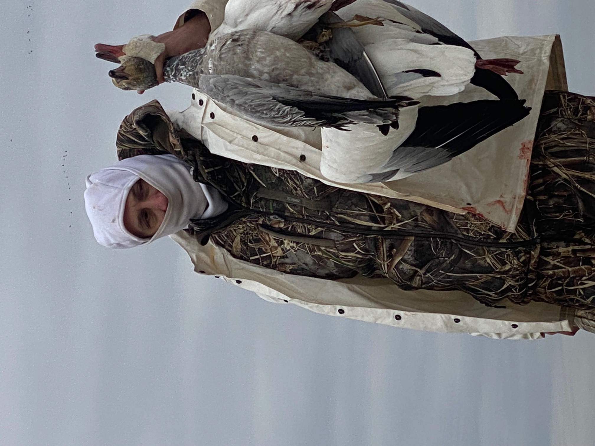 Whiteout Outfitters Spring Snow Goose Hunts spring-snow-goose-hunts-whiteout-outfitters-022423-2.jpg