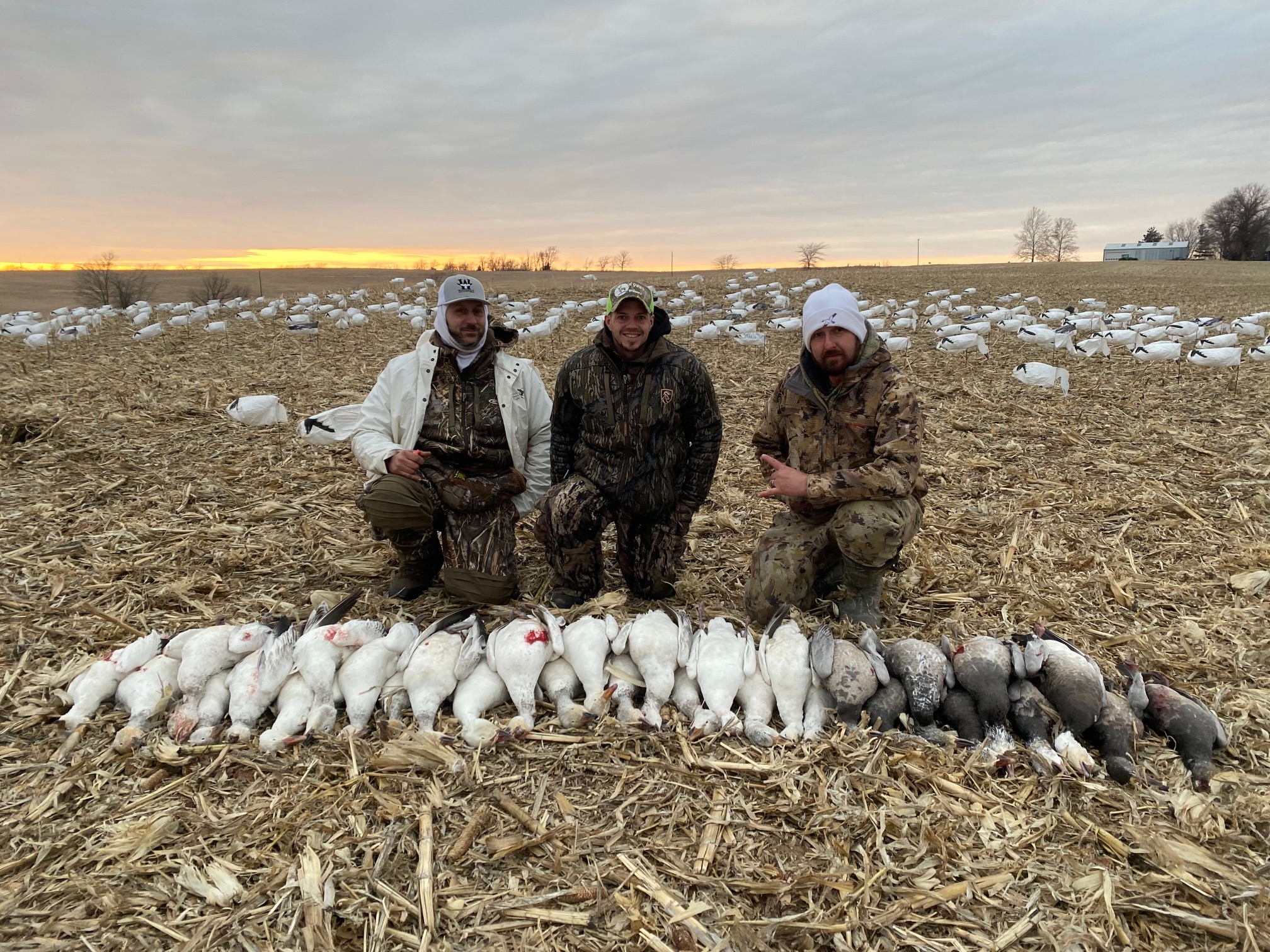 Spring Snow Goose Hunts Whiteout Outfitters 61