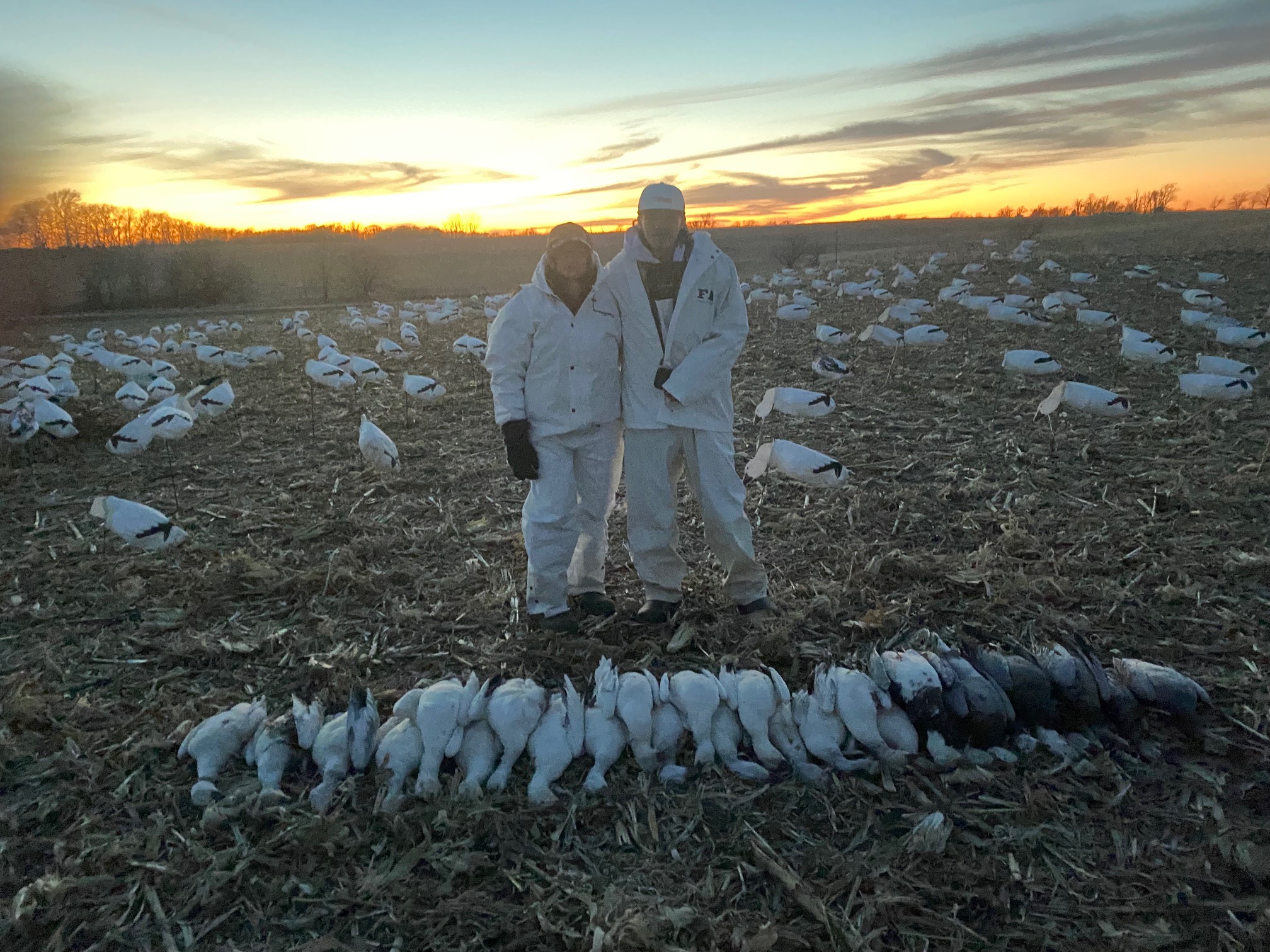 Spring Snow Goose Hunts Whiteout Outfitters 62