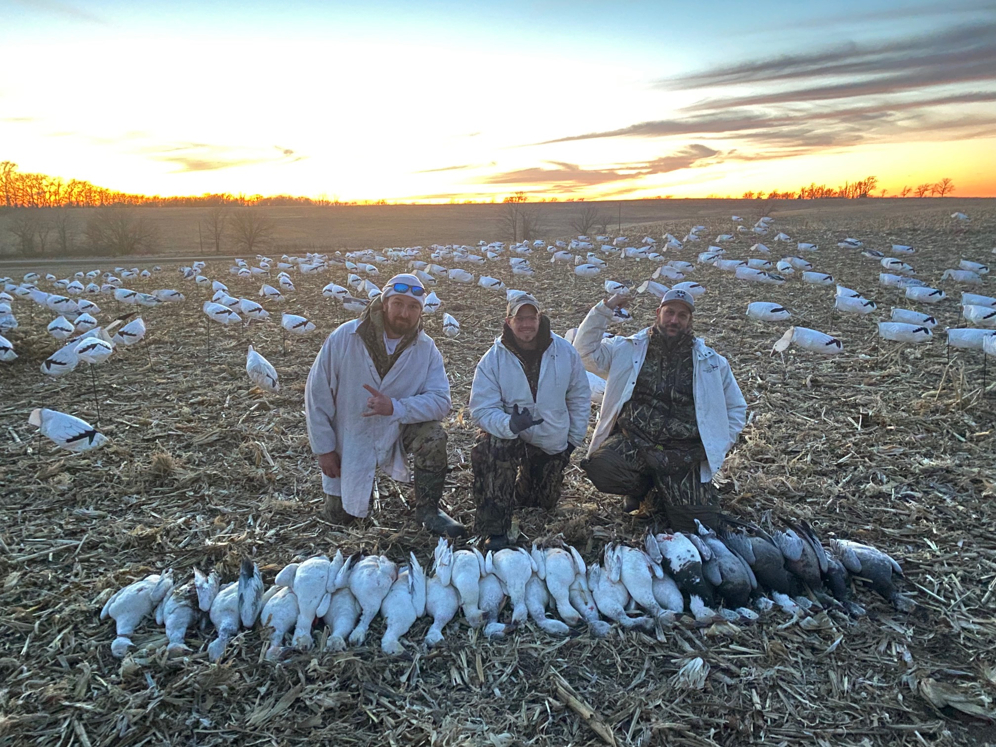 Spring Snow Goose Hunts Whiteout Outfitters 26