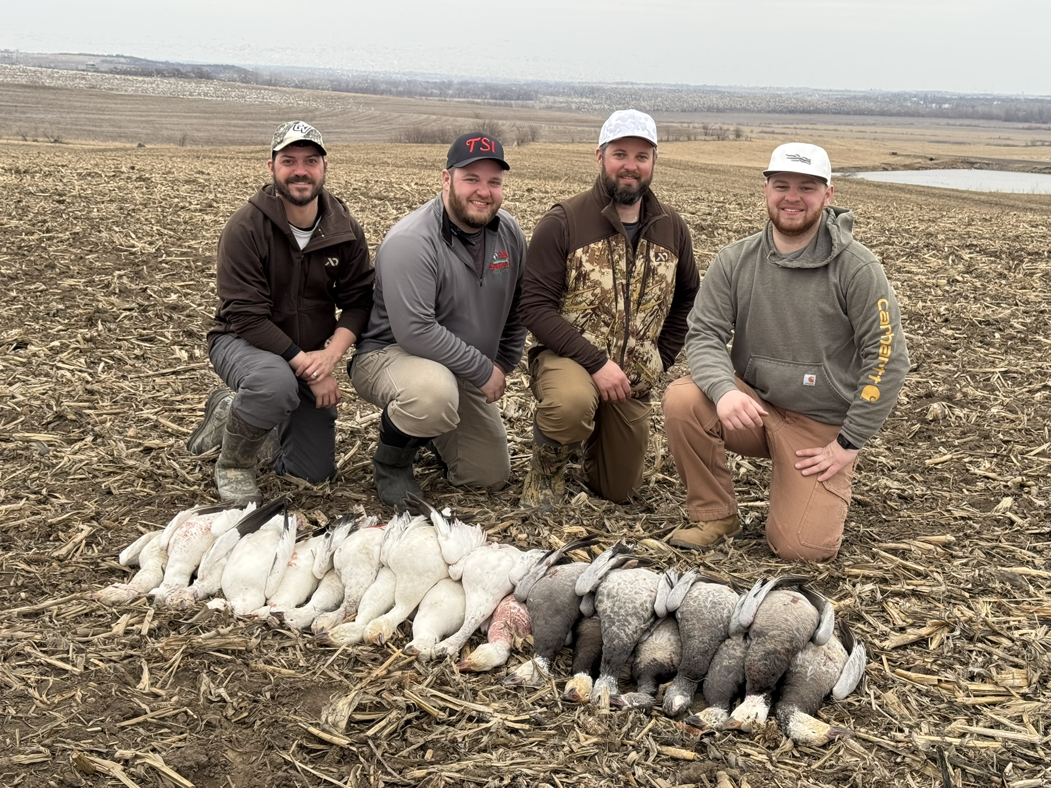 Whiteout Outfitters Spring Snow Goose Hunts spring-snow-goose-hunts-2025-01.jpg