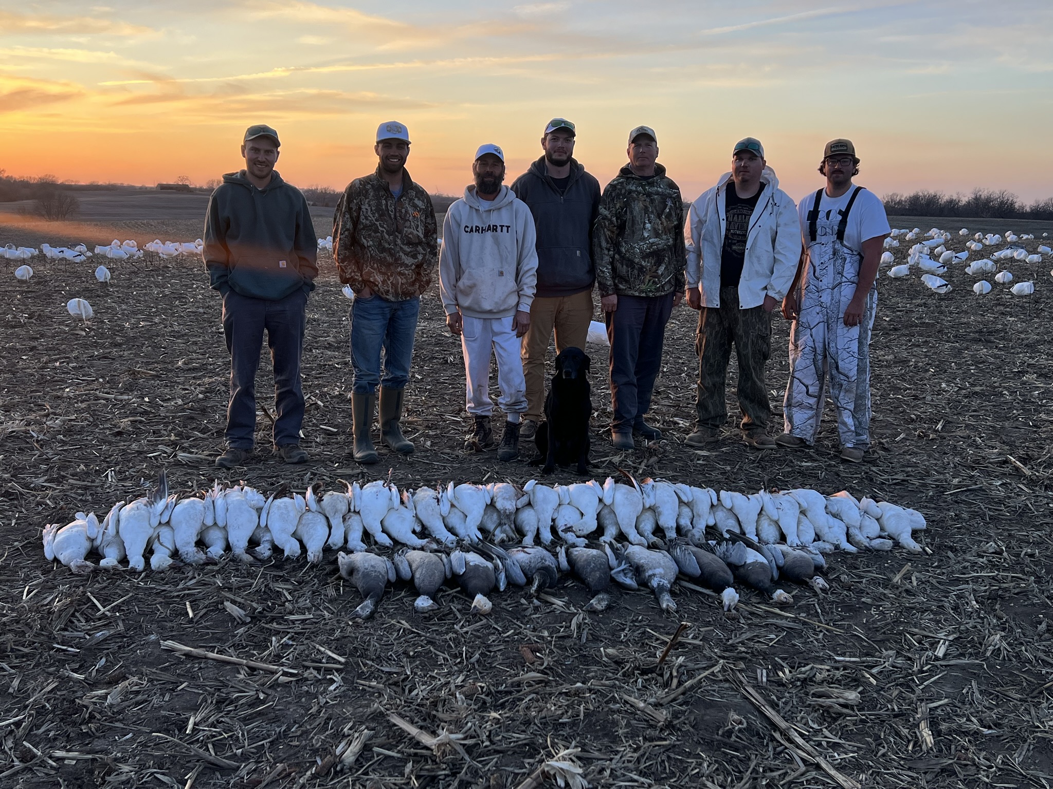 Whiteout Outfitters Spring Snow Goose Hunts spring-snow-goose-hunts-2025-04.jpg