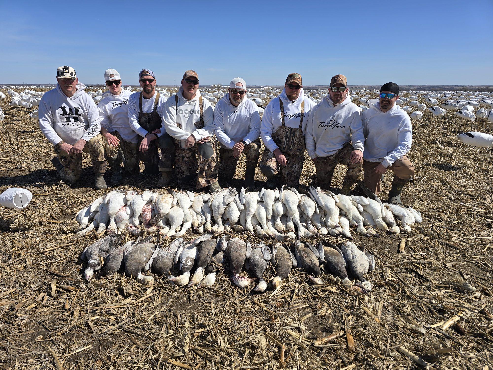 Whiteout Outfitters Spring Snow Goose Hunts spring-snow-goose-hunts-2025-08.jpg