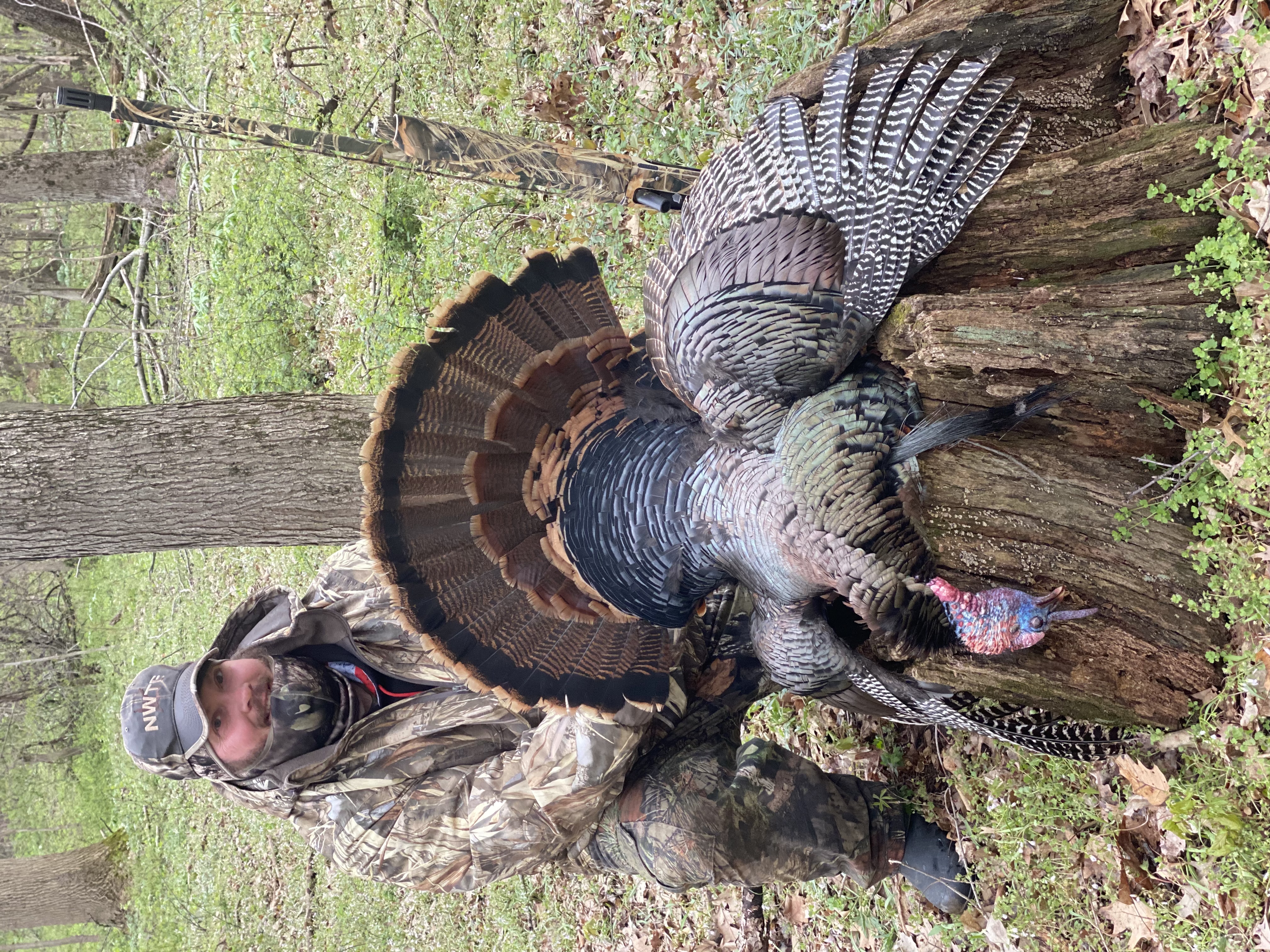 Spring Turkey Hunts Whiteout Outfitters 